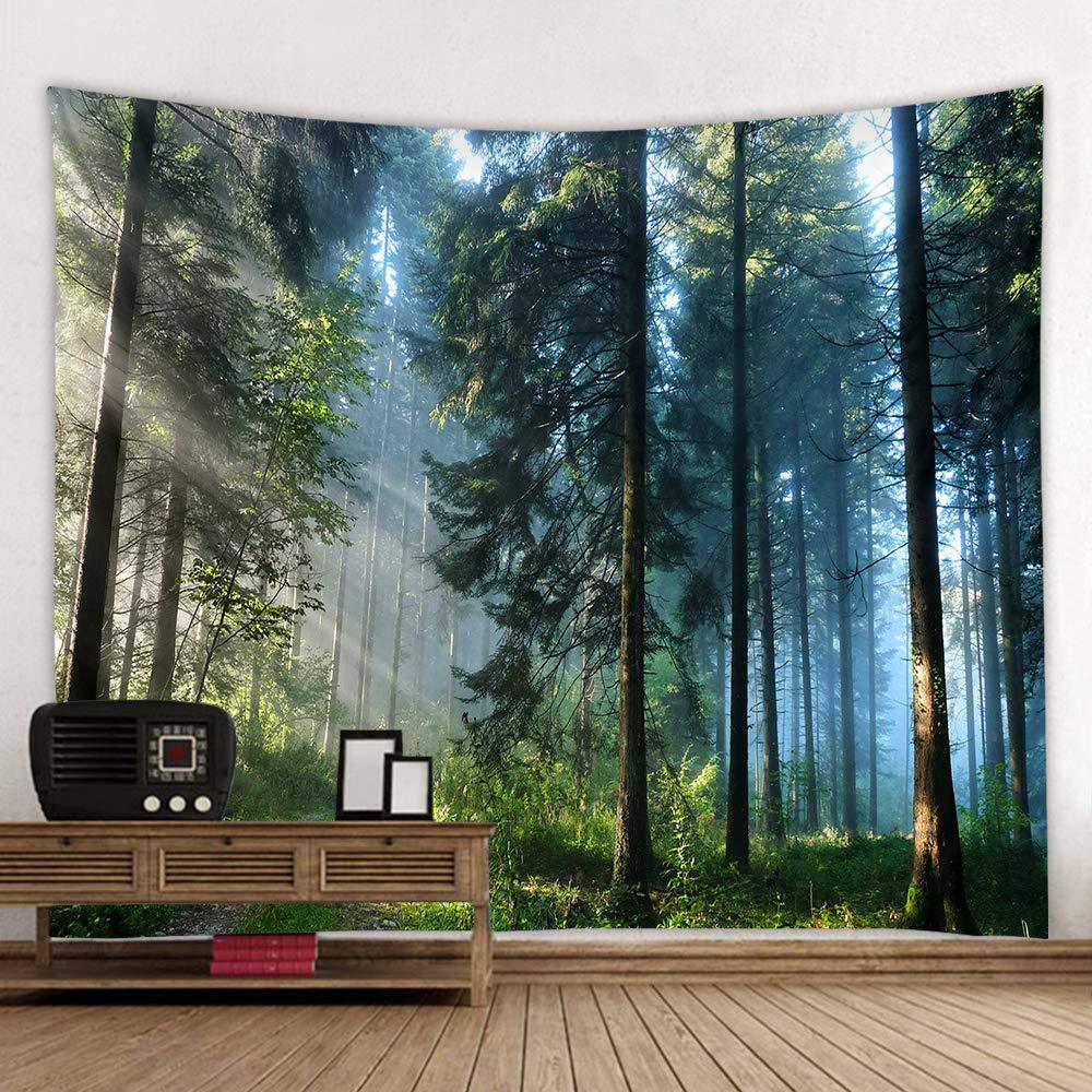 VIKAMA Outdoor Adventure Natur - Outdoor Adventure Background 评论和价格